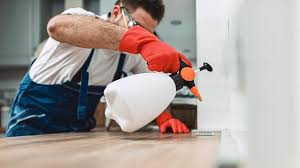 Best Residential Pest Control  in Paintsville, KY